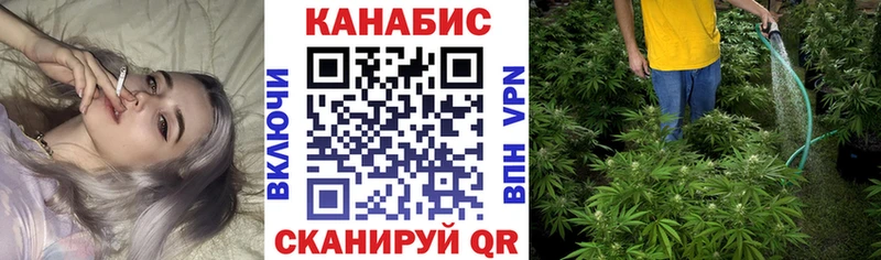 Купить закладку Alpha-PVP  Меф мяу мяу  Каннабис  Липецк