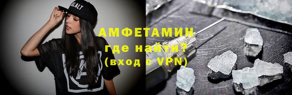 прущие грибы Абинск