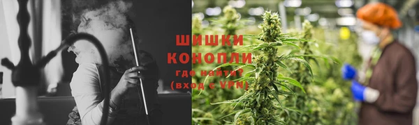 прущие грибы Абинск