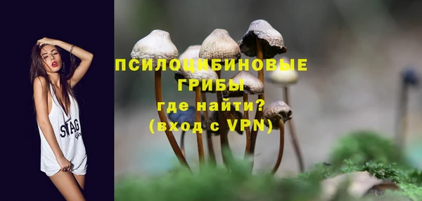 jwh Абаза