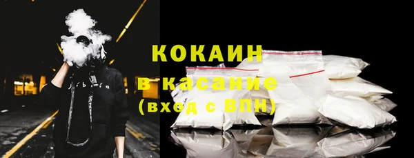 прущие грибы Абинск