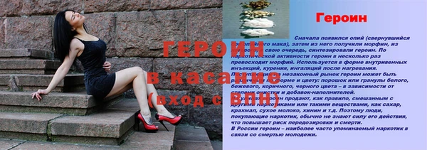 прущие грибы Абинск