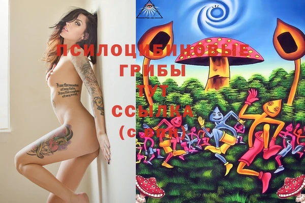 jwh Абаза