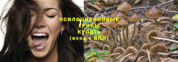 прущая мука Алексеевка